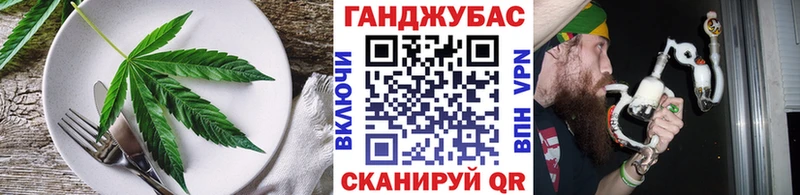 магазин продажи наркотиков  Сланцы  Cannafood марихуана 