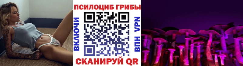Псилоцибиновые грибы Cubensis  Сланцы 