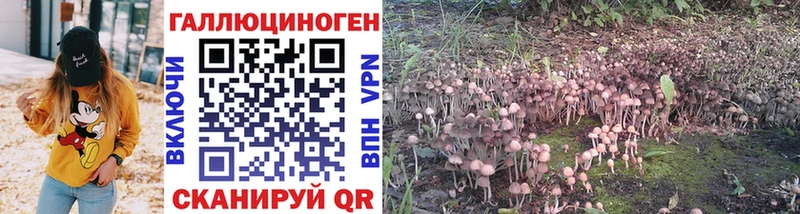 Псилоцибиновые грибы GOLDEN TEACHER Сланцы